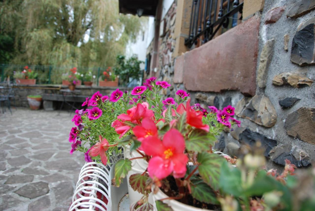 Hostal Rural Donamariako Benta Εξωτερικό φωτογραφία